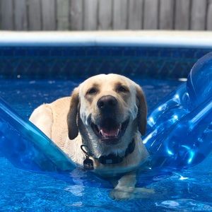 Meet your Posher, Christina